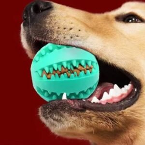 CT Bola Petisco Petisqueira Borracha 6,5 cm brinquedo p/ cachorro R2109
